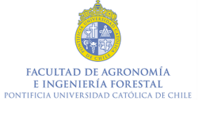 Universidad Católica de Chile
