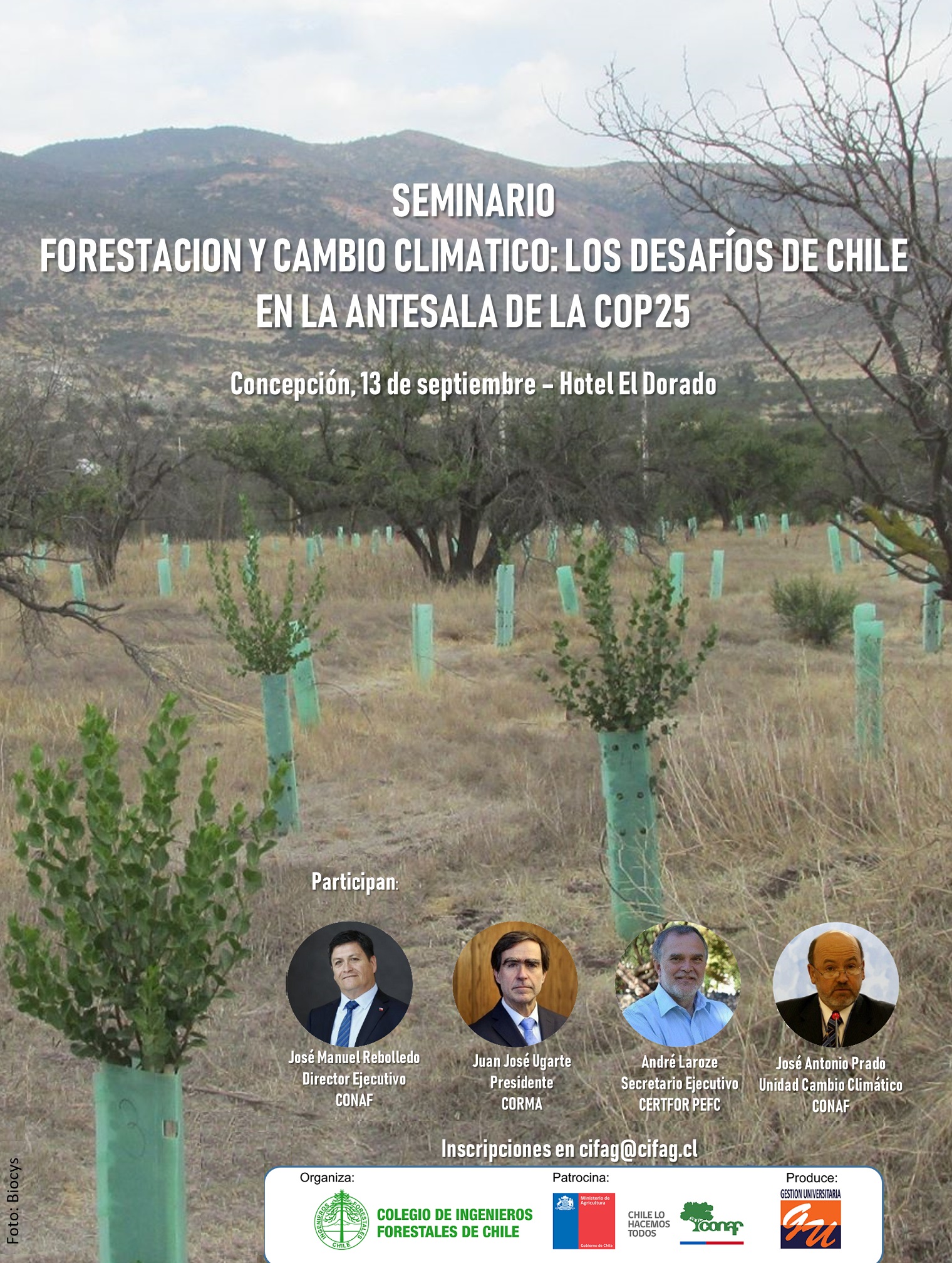 Seminario «Forestación y cambio climático: los desafíos de Chile en la antesala de la COP25»