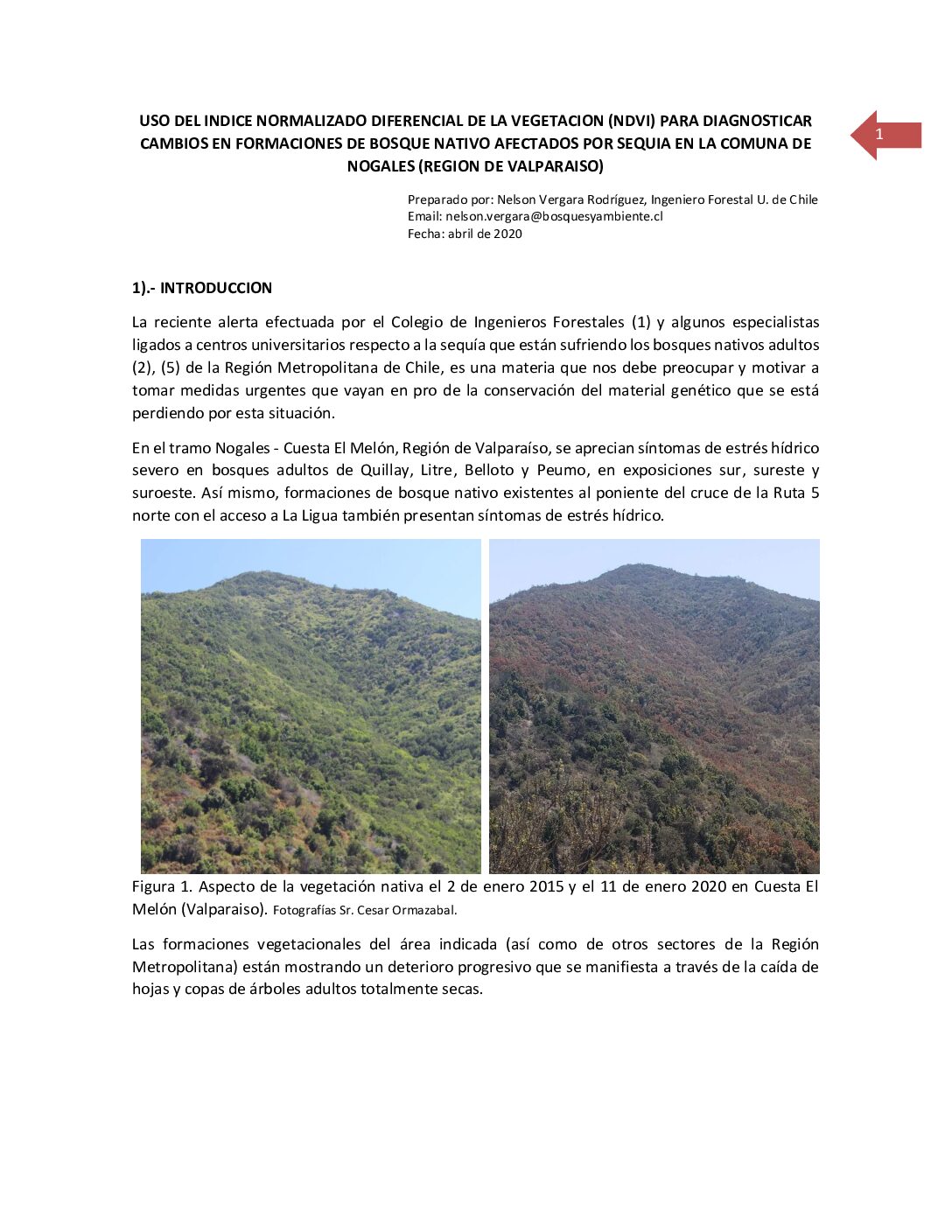 Uso del NDVI para detectar cambios en bosques nativos afectados por sequía comuna Nogales region Vaparaiso
