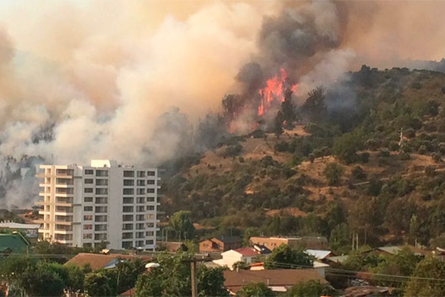 Opinión: Incendios forestales y proyectos inmobiliarios