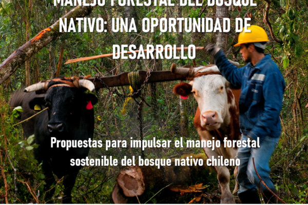 Portada libro Manejo Forestal del Bosque Nativo: una oportunidad de desarrollo