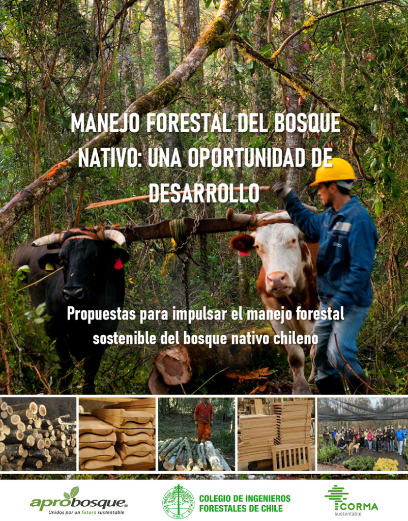 Libro elaborado por gremios del sector propone ambiciosas medidas para impulsar el manejo sostenible del bosque nativo