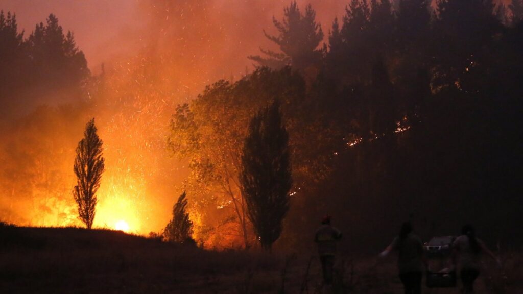 Declaración sobre los incendios forestales que afectan la zona sur del país