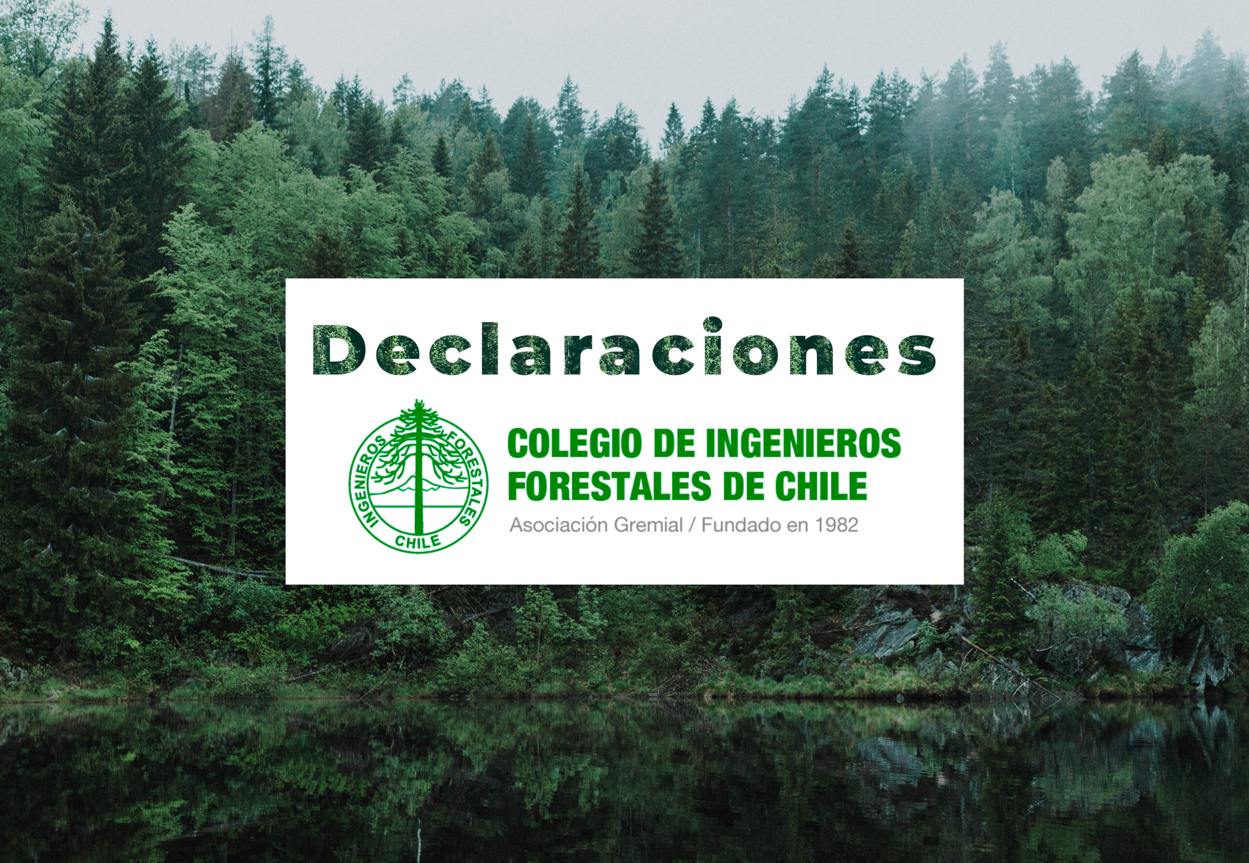 Declaración Pública Sobre la Necesidad de Impulsar el Manejo Forestal Sostenible de los Bosques Nativos de Chile