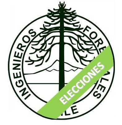 Resultados elecciones renovación directivas Colegio de Ingenieros Forestales