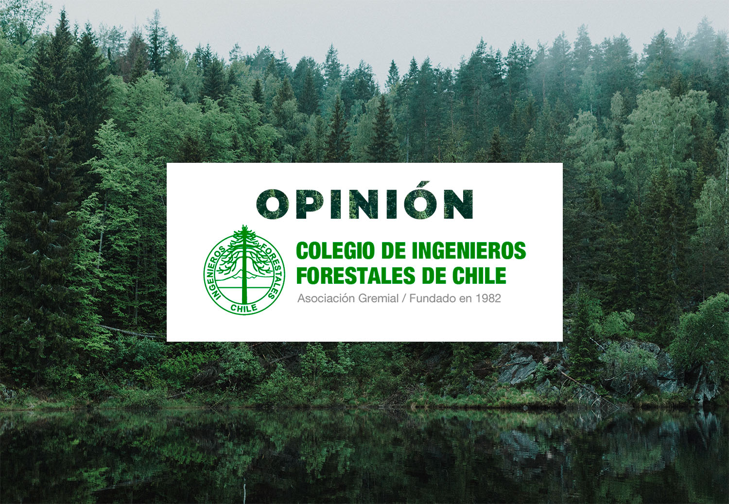 Columnas de opinión – ¿Estamos preparados para enfrentar nuevos megaincendios?